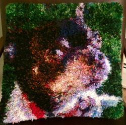 Click to enlarge Carlos